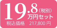 19.8万円 税込217,800円