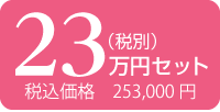23万円 税込253,000円