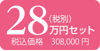 28万円 税込308,000円