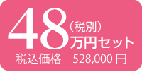 48万円 税込528,000円